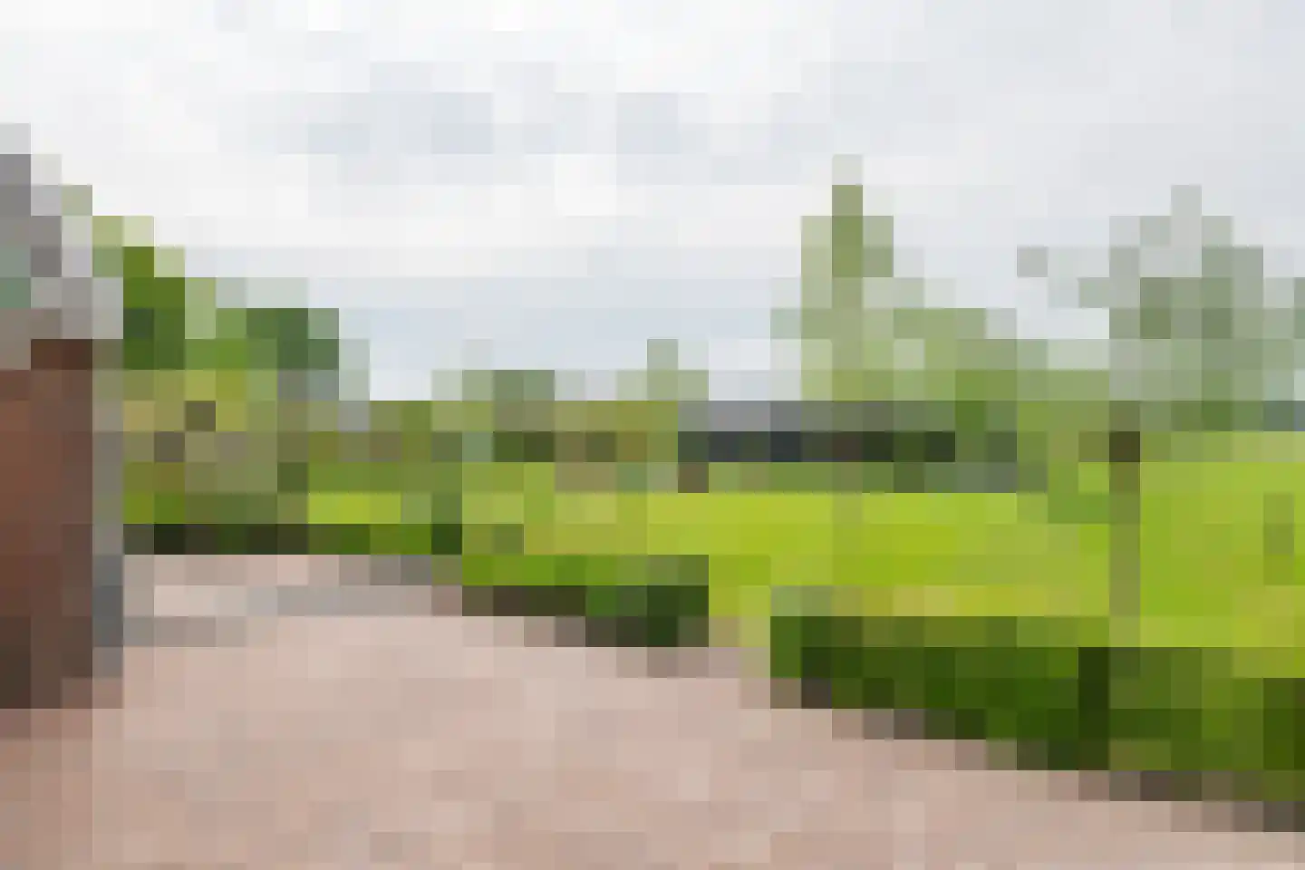 Rijnbandijk 161 Maurik thumbnail 55
