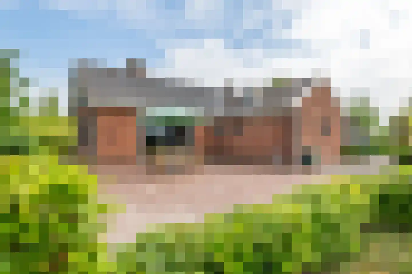 Rijnbandijk 161 Maurik thumbnail 56