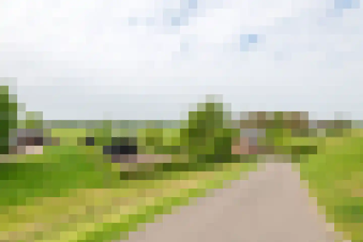 Rijnbandijk 161 Maurik thumbnail 59