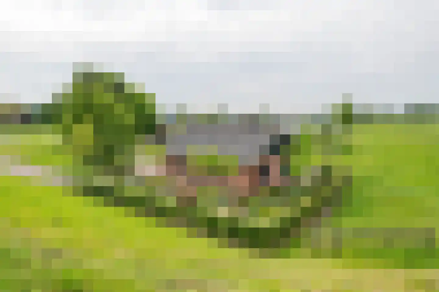 Rijnbandijk 161 Maurik thumbnail 73