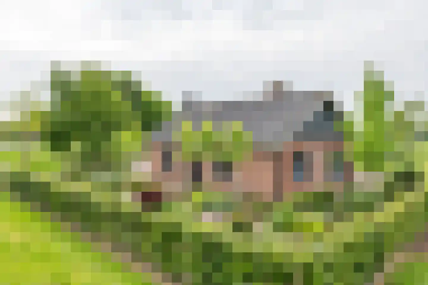Rijnbandijk 161 Maurik thumbnail 74
