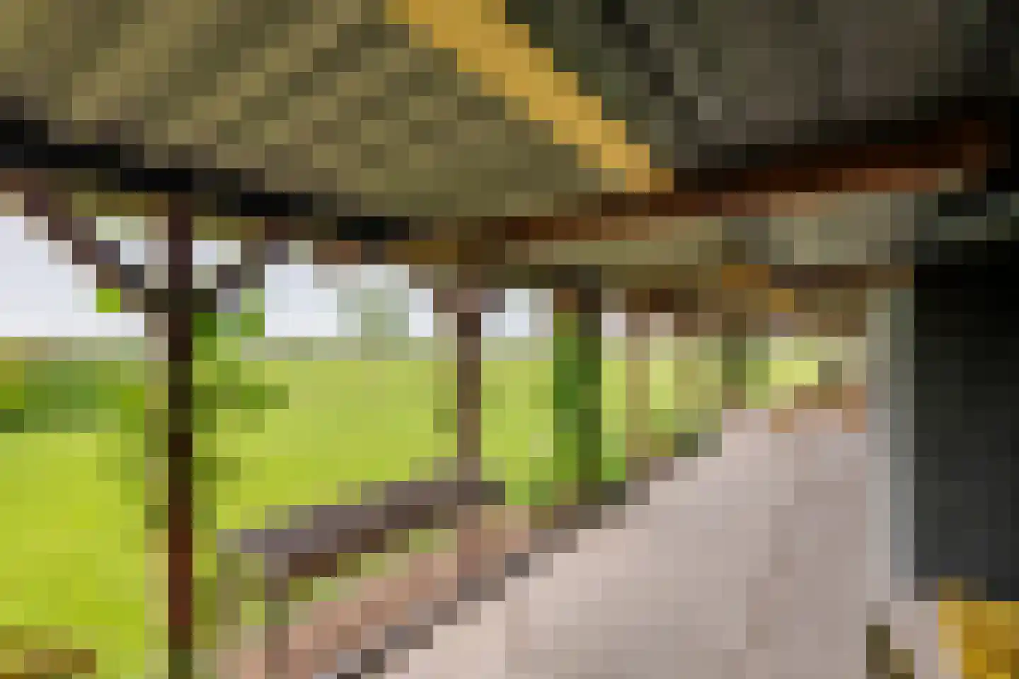 Rijnbandijk 161 Maurik thumbnail 77