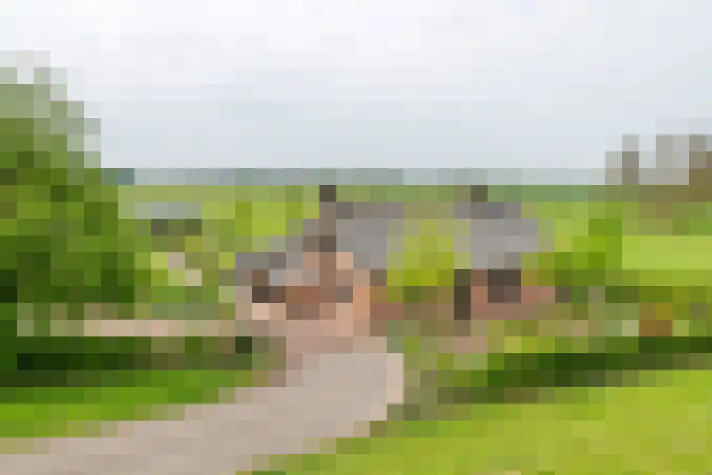 Rijnbandijk 161 Maurik thumbnail 80