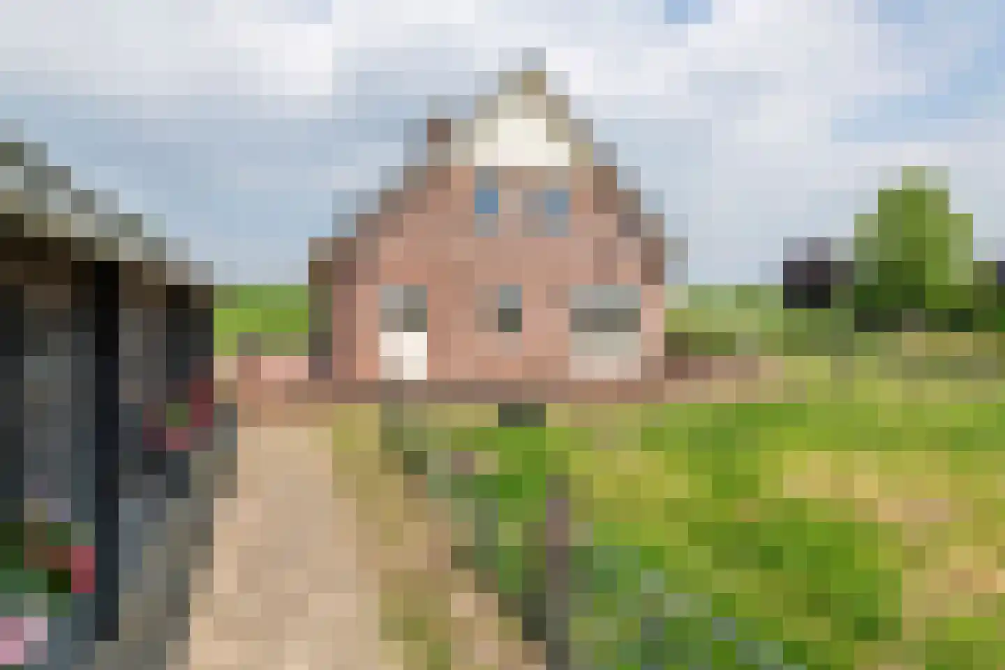 Rijnbandijk 17 Ingen thumbnail 18