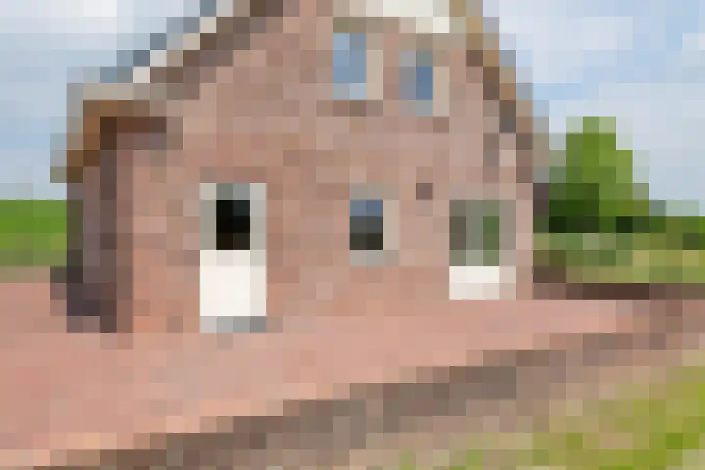 Rijnbandijk 17 Ingen thumbnail 21