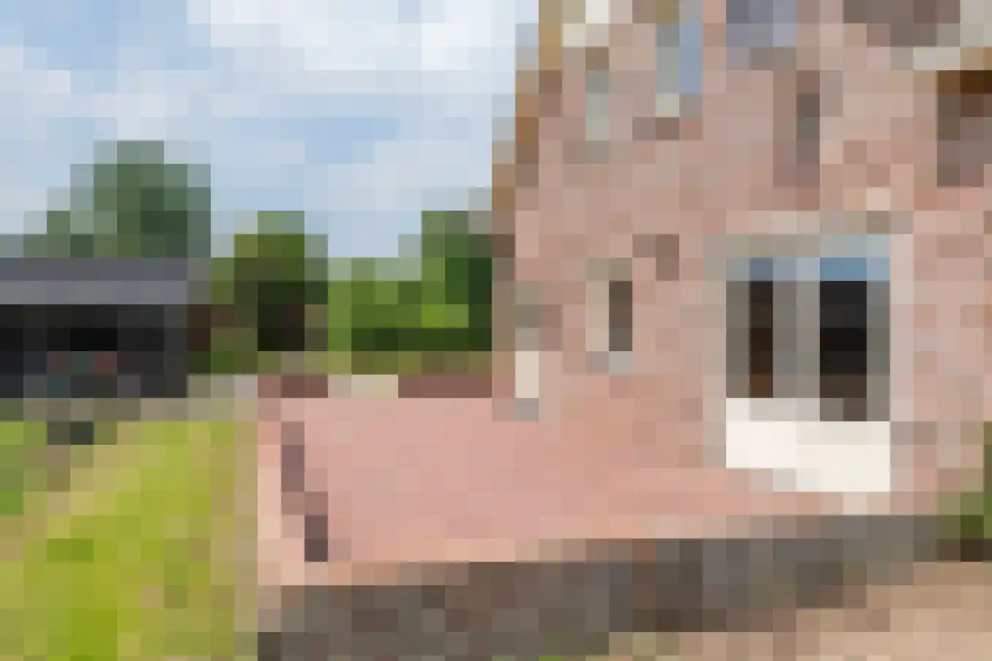 Rijnbandijk 17 Ingen thumbnail 22
