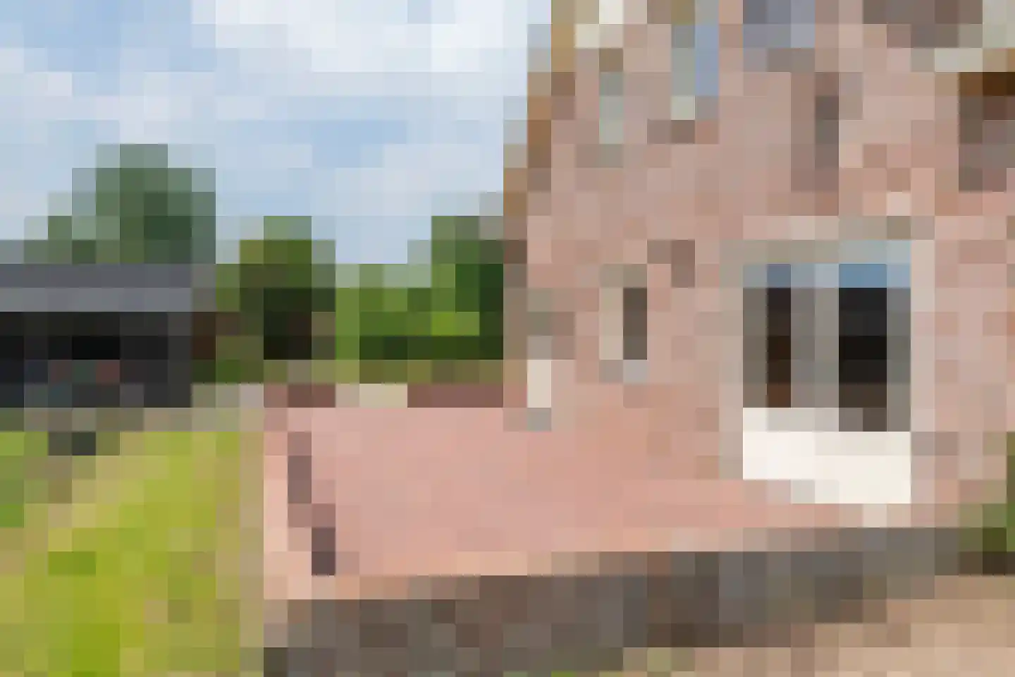 Rijnbandijk 17 Ingen thumbnail 23