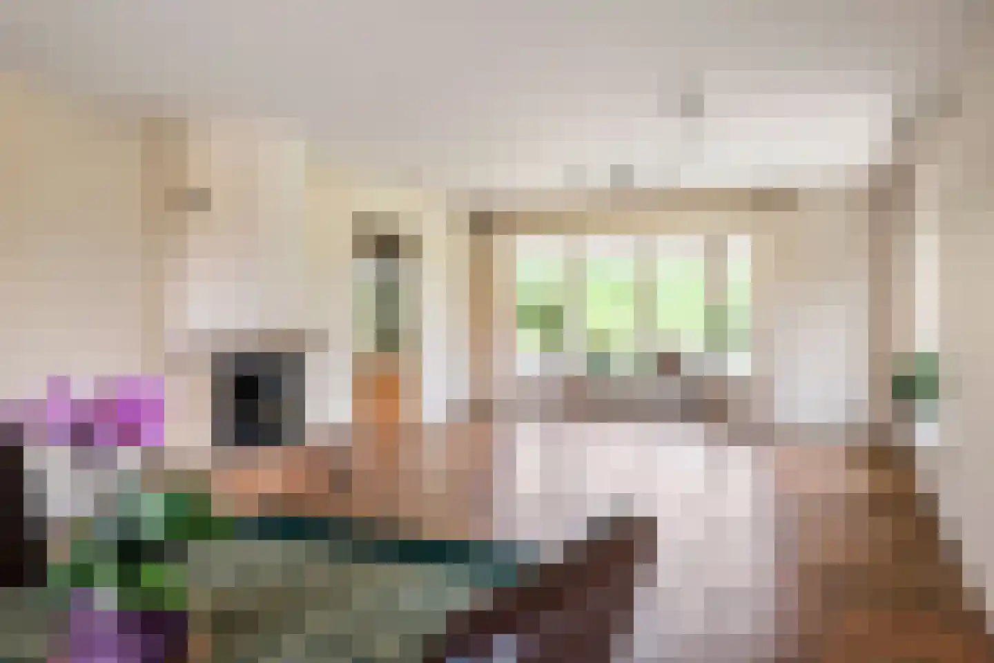 Rijnbandijk 17 Ingen thumbnail 29