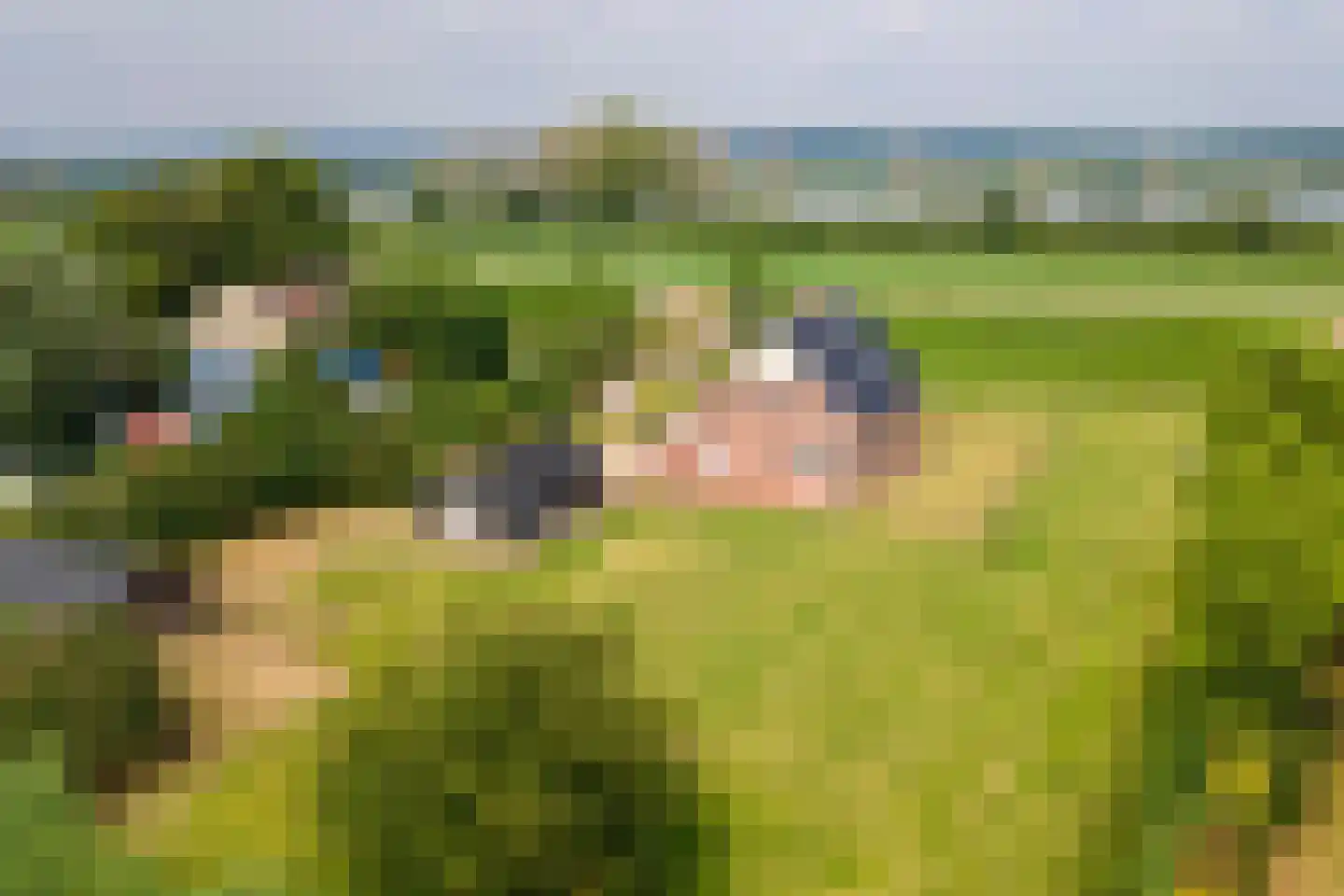 Rijnbandijk 17 Ingen foto 3