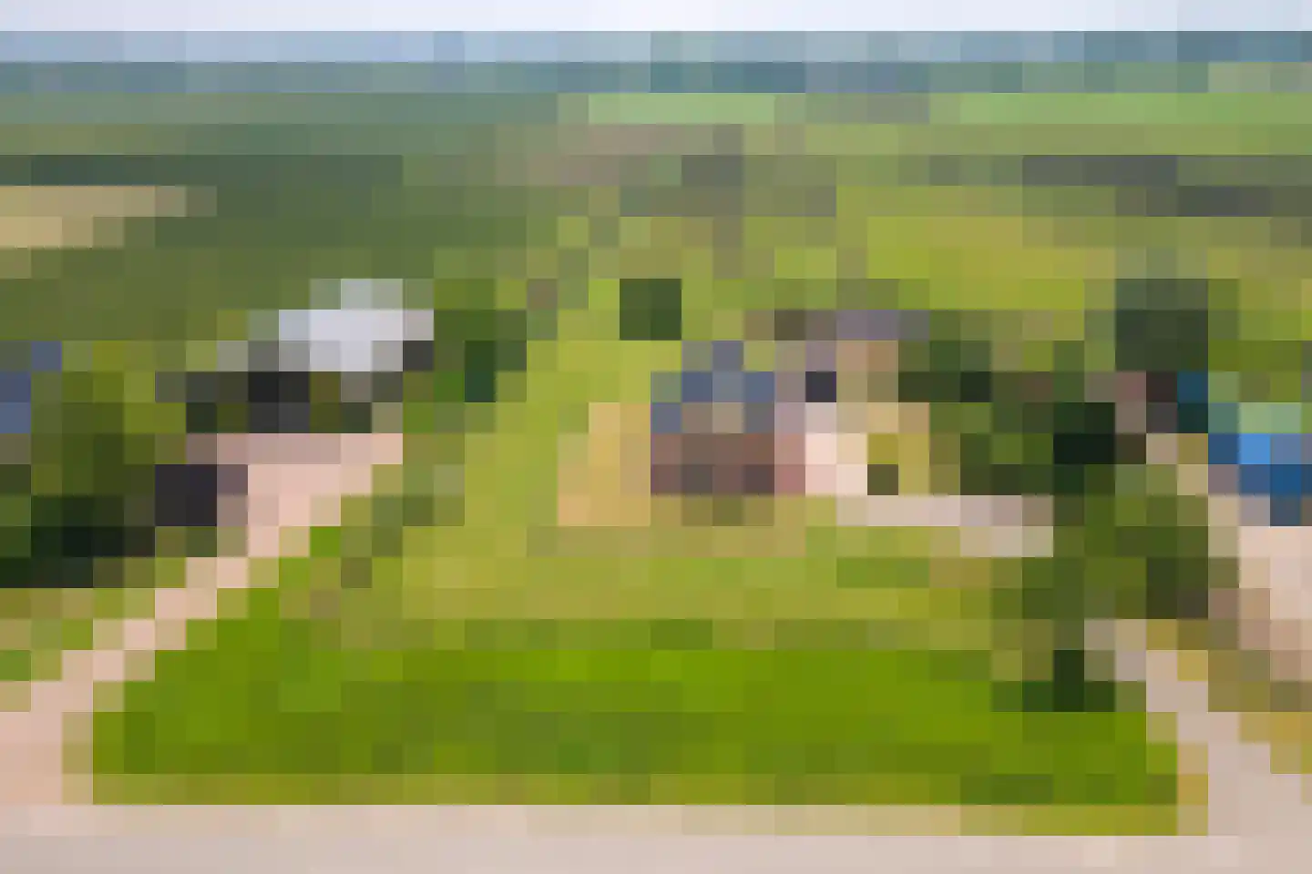Rijnbandijk 17 Ingen thumbnail 50