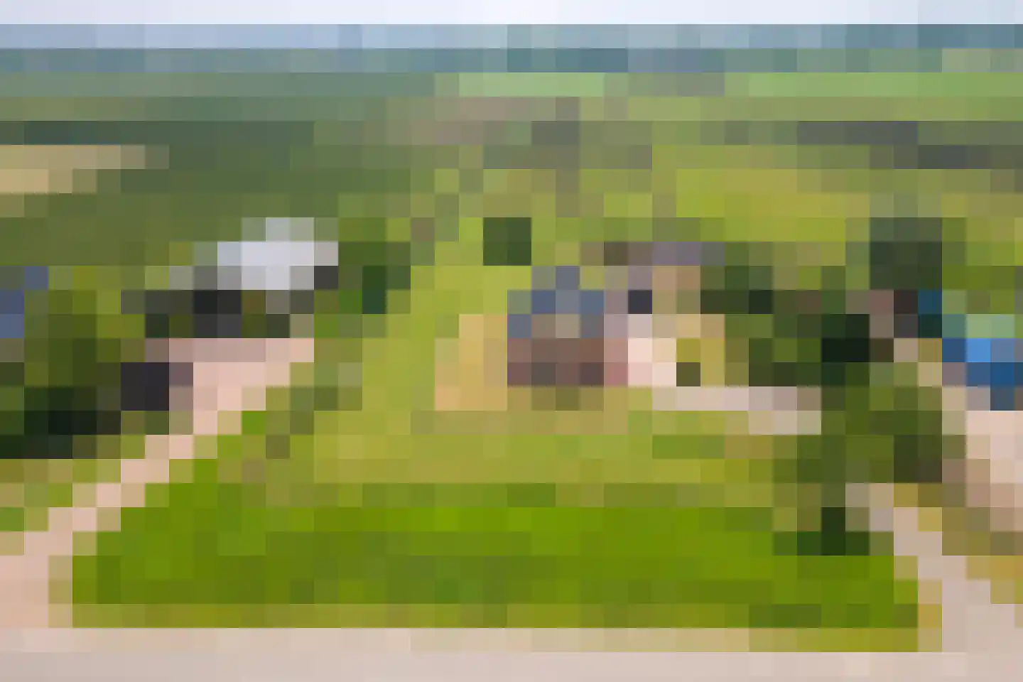 Rijnbandijk 17 Ingen thumbnail 51