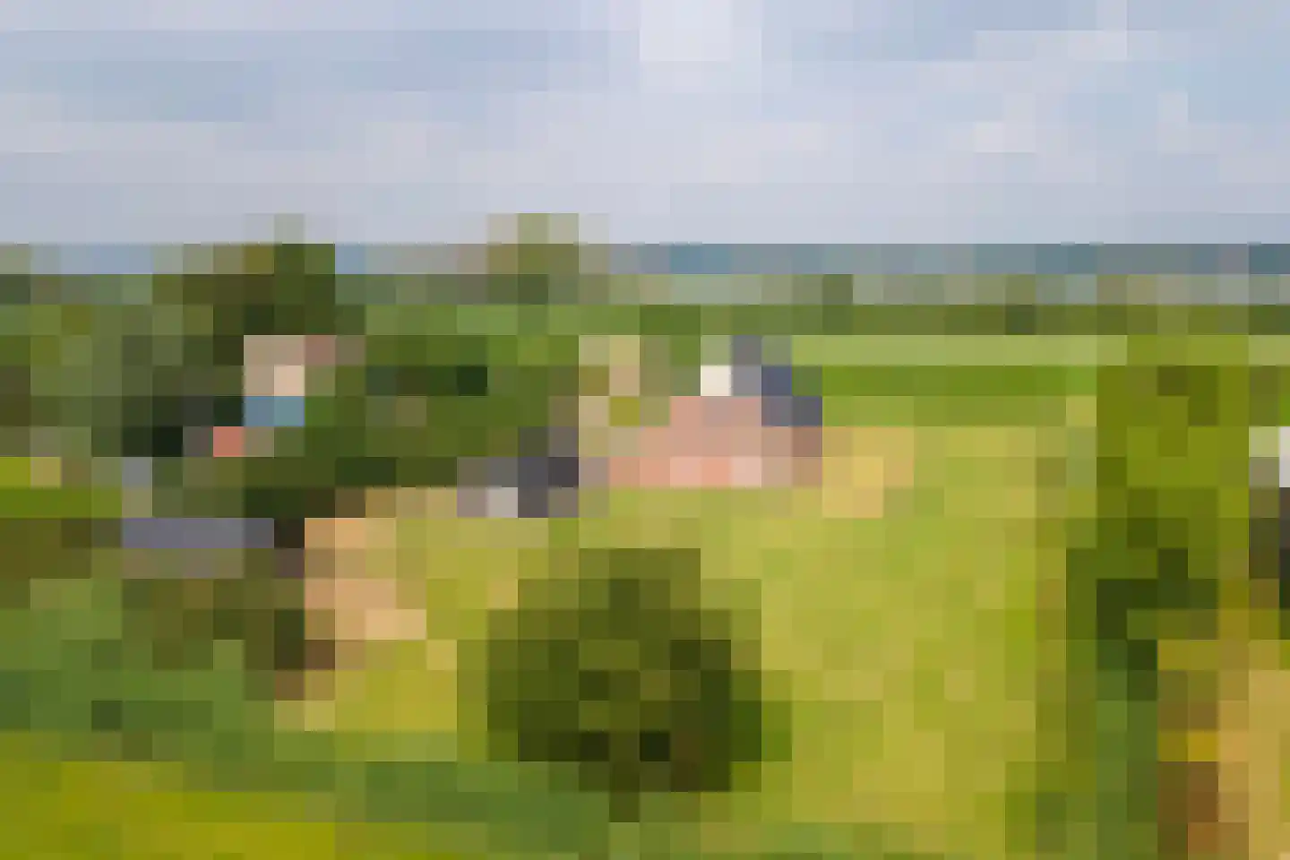 Rijnbandijk 17 Ingen thumbnail 57