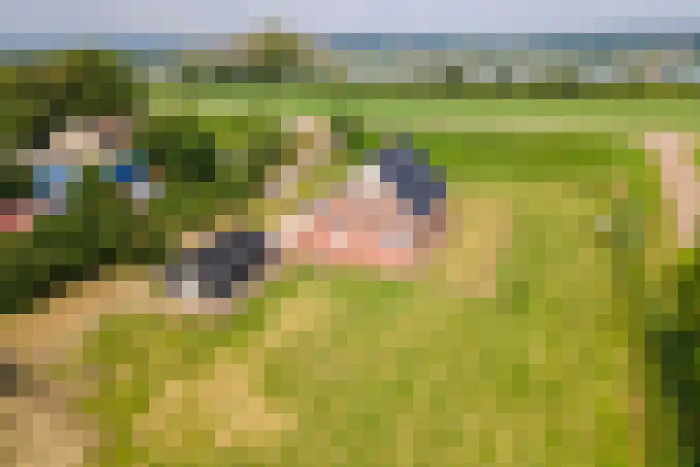 Rijnbandijk 17 Ingen thumbnail 58
