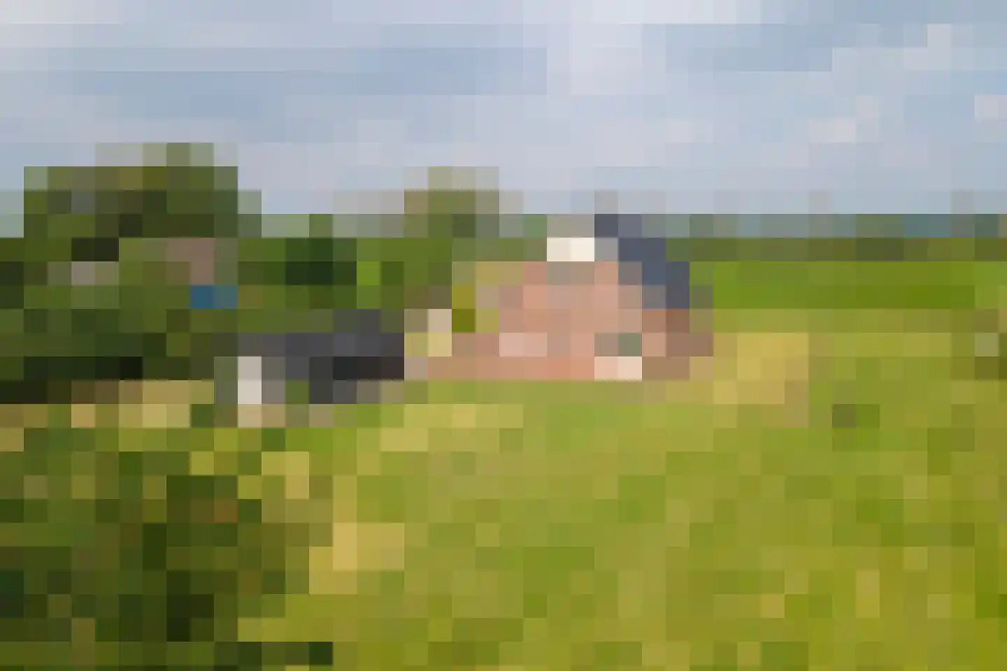 Rijnbandijk 17 Ingen thumbnail 59