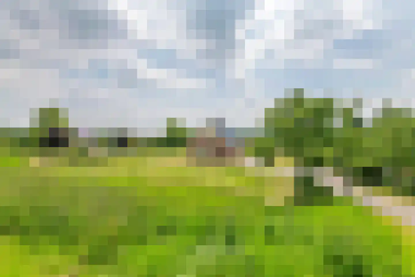 Rijnbandijk 17 Ingen thumbnail 8