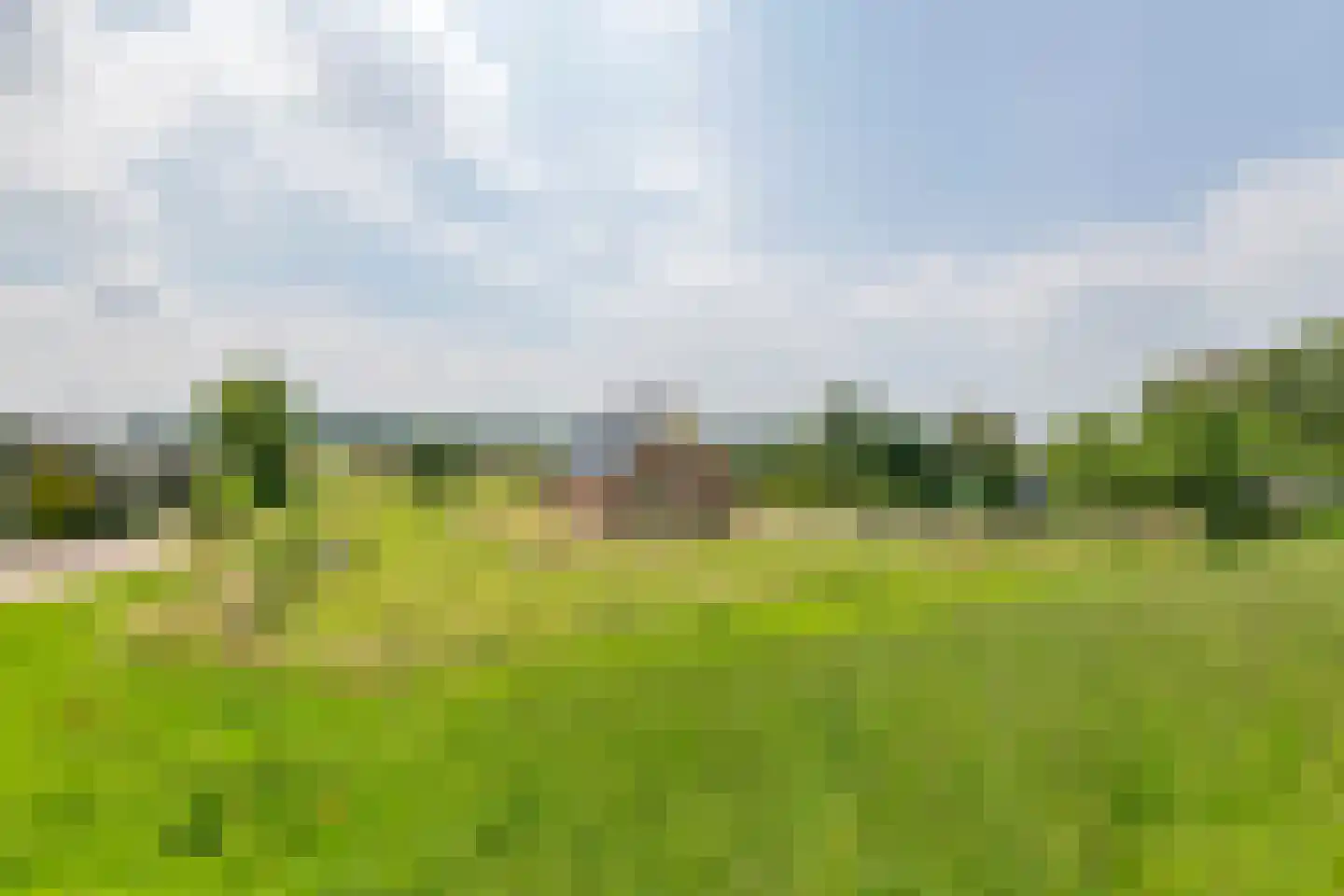 Rijnbandijk 17 Ingen thumbnail 9