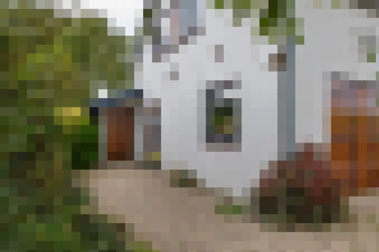 Rijnbandijk 171 Maurik thumbnail 18