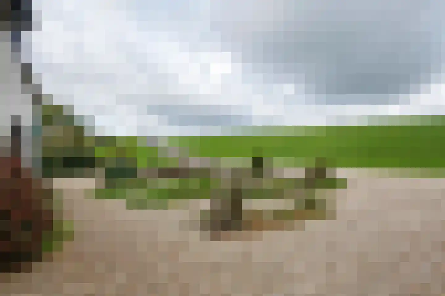 Rijnbandijk 171 Maurik thumbnail 21
