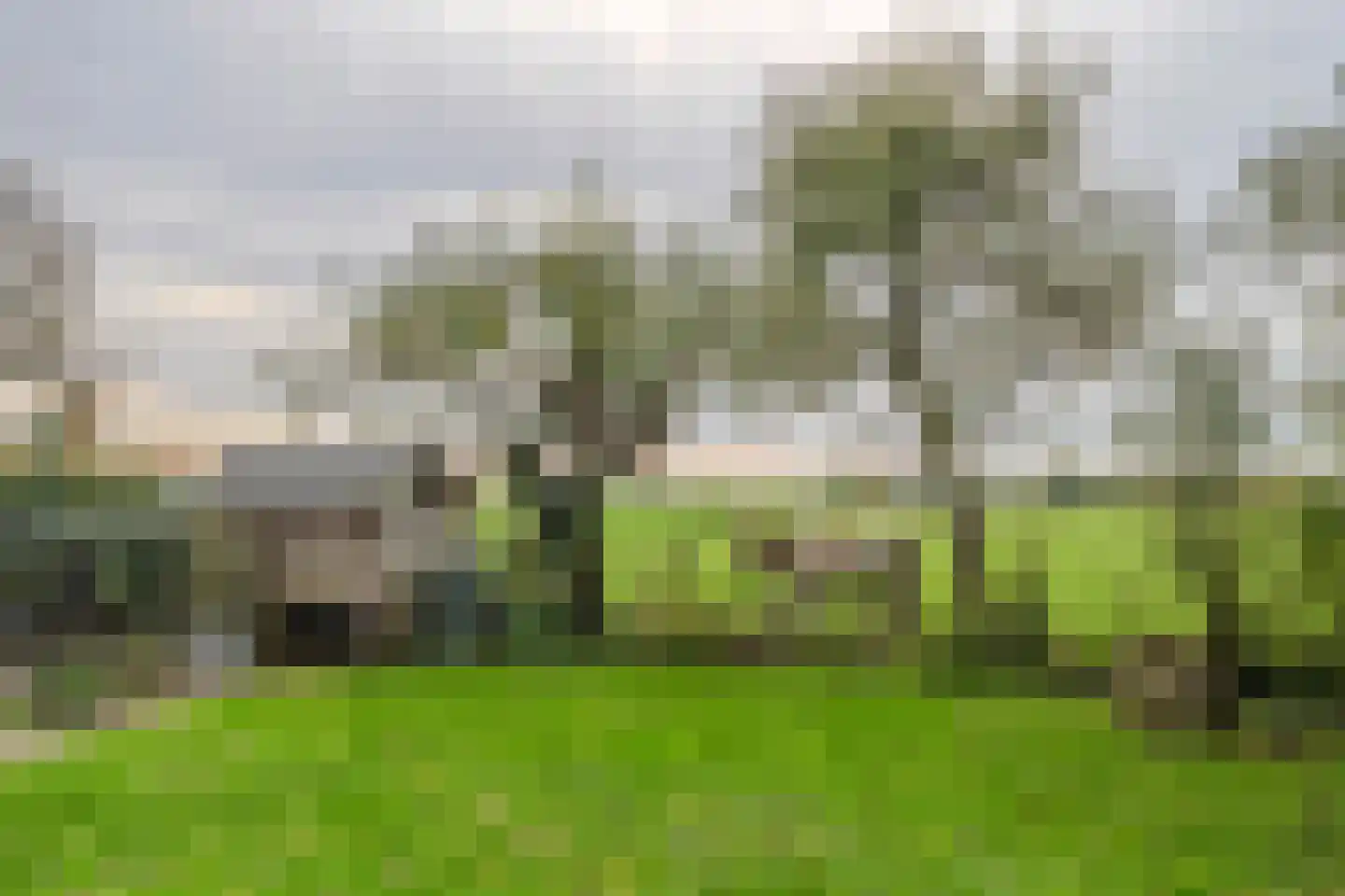 Rijnbandijk 171 Maurik thumbnail 24