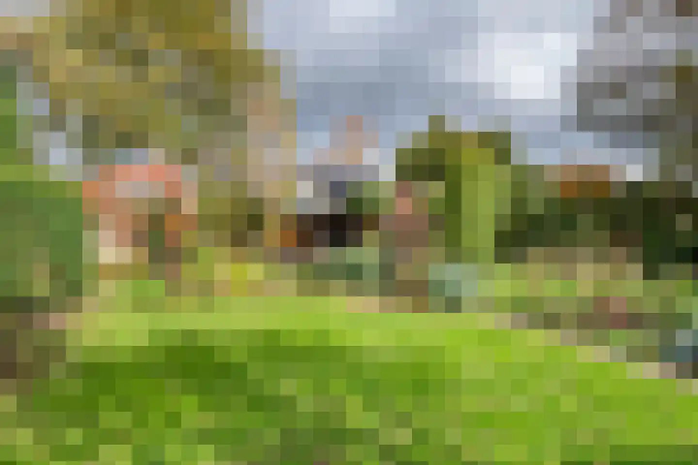 Rijnbandijk 171 Maurik thumbnail 25