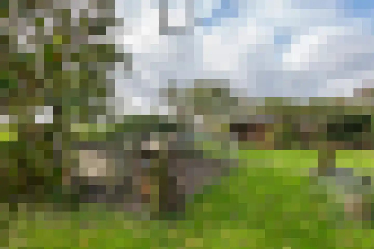 Rijnbandijk 171 Maurik thumbnail 27