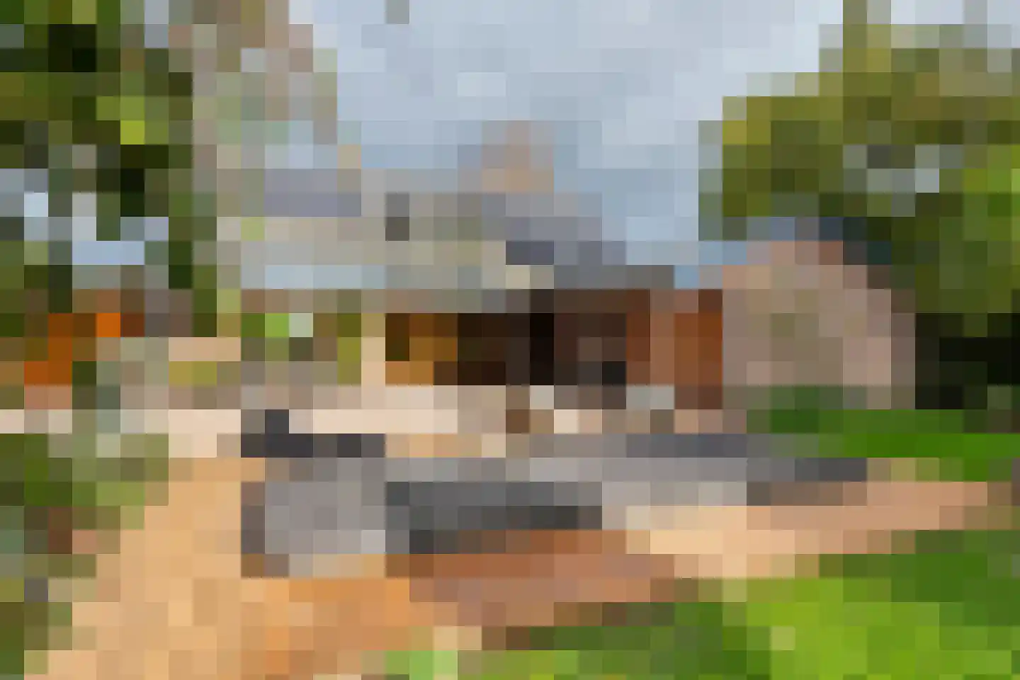 Rijnbandijk 171 Maurik thumbnail 31