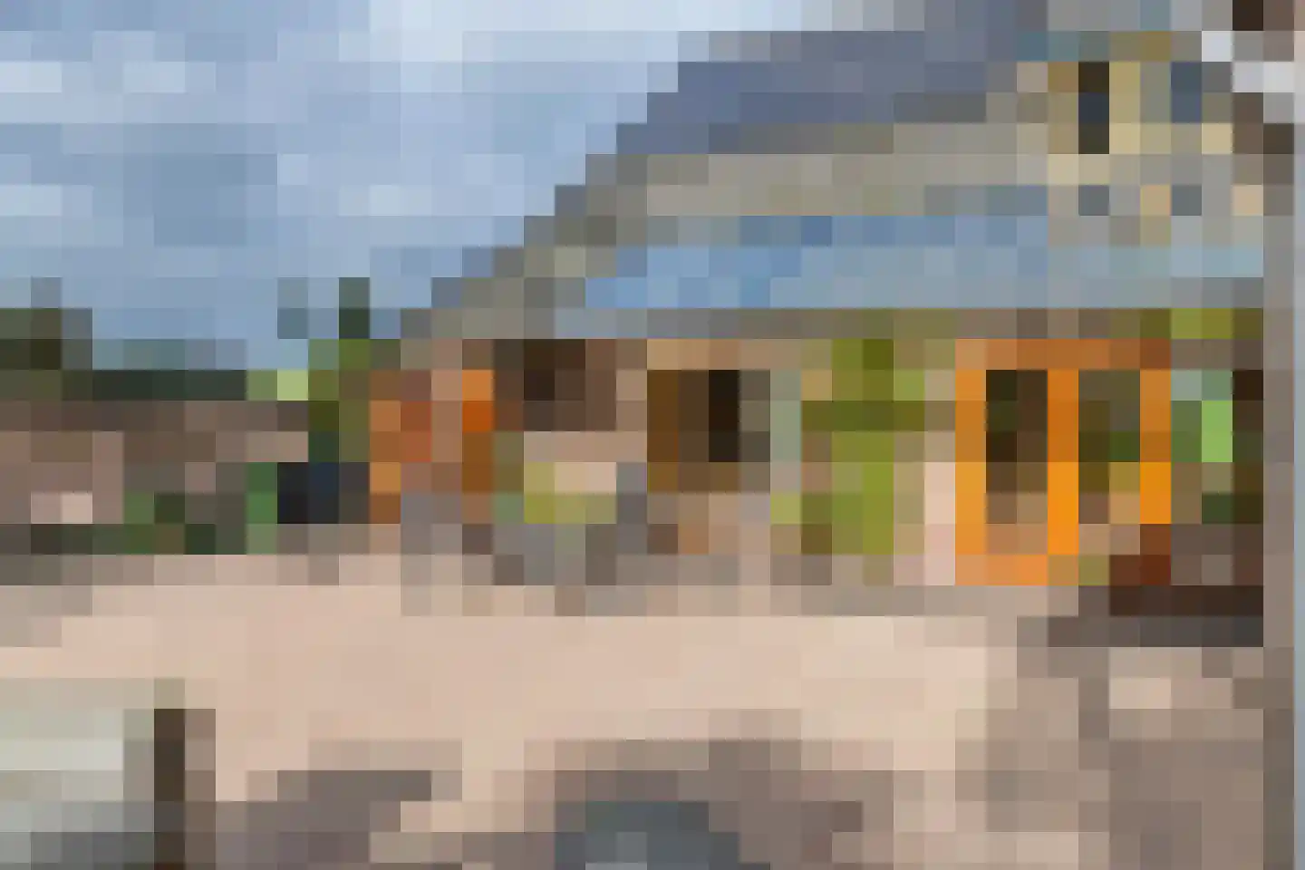 Rijnbandijk 171 Maurik thumbnail 33