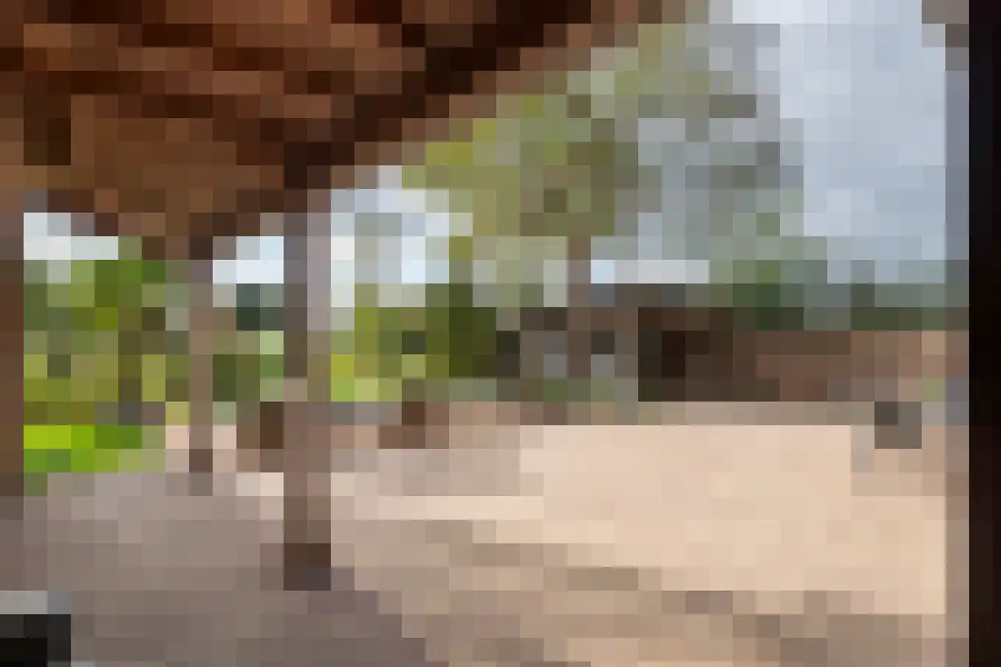 Rijnbandijk 171 Maurik thumbnail 34
