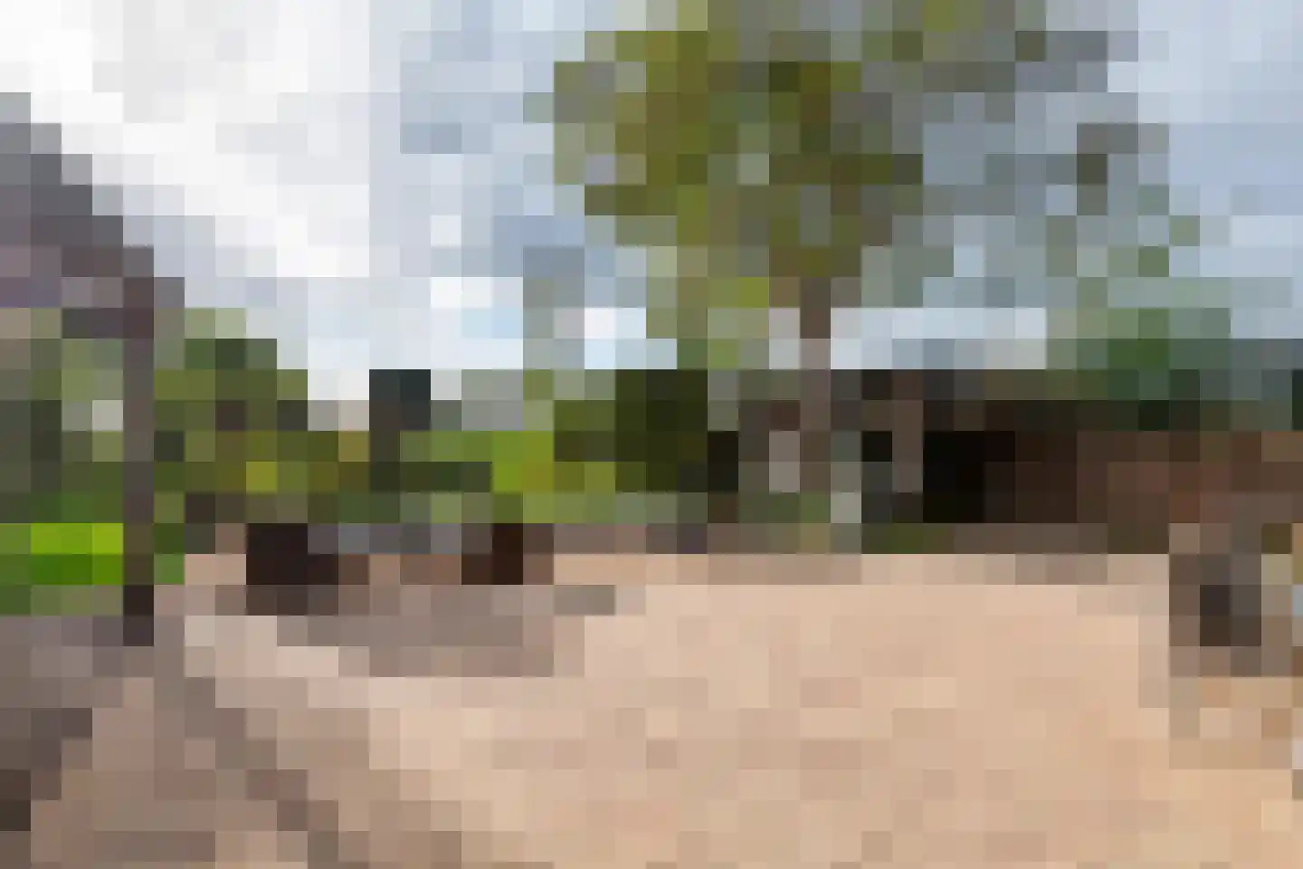 Rijnbandijk 171 Maurik thumbnail 36