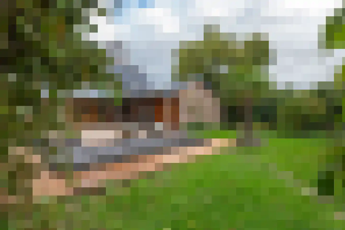 Rijnbandijk 171 Maurik thumbnail 39