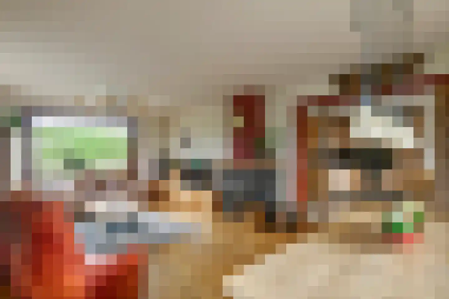 Rijnbandijk 171 Maurik thumbnail 6
