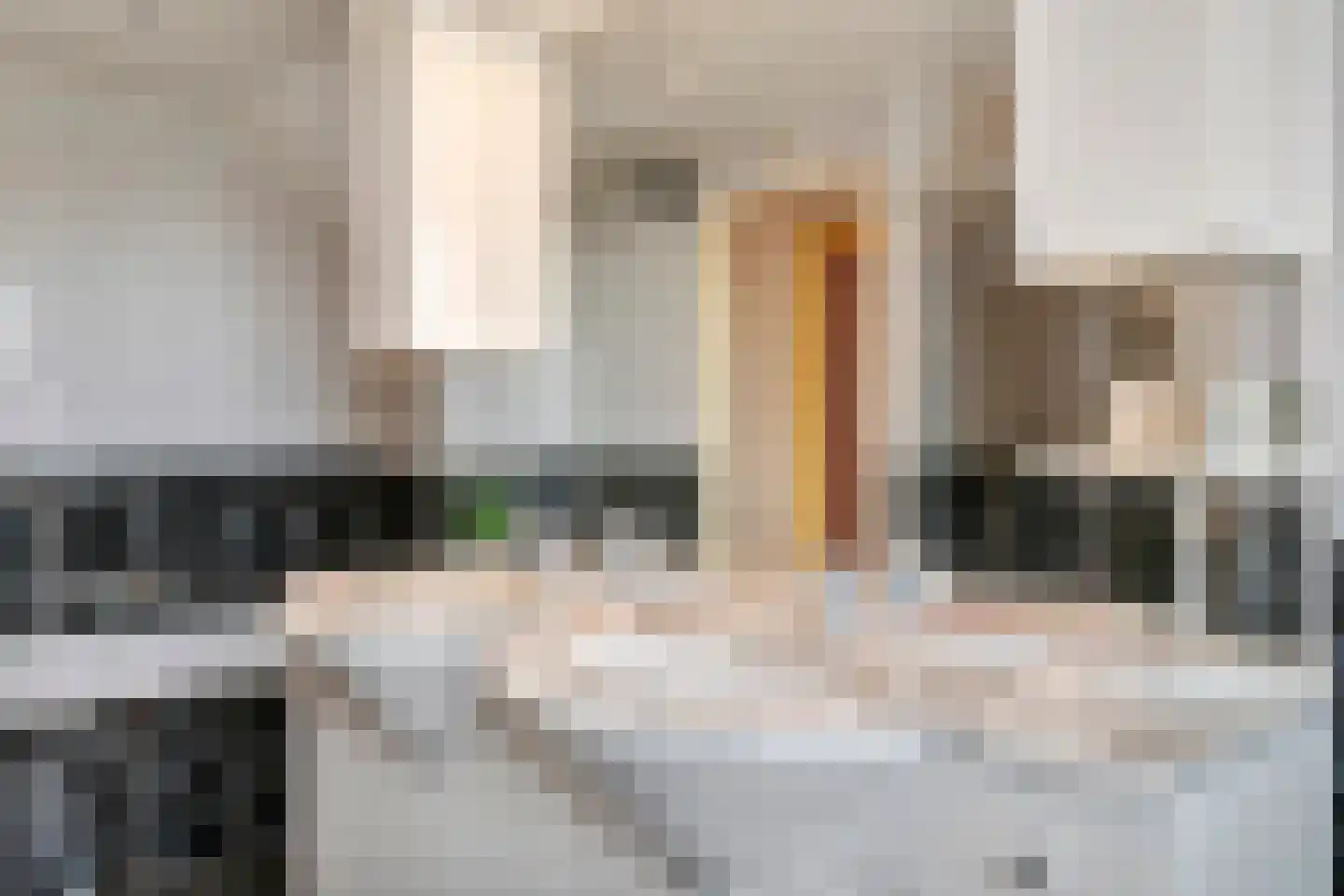 Rijnbandijk 171 Maurik thumbnail 80