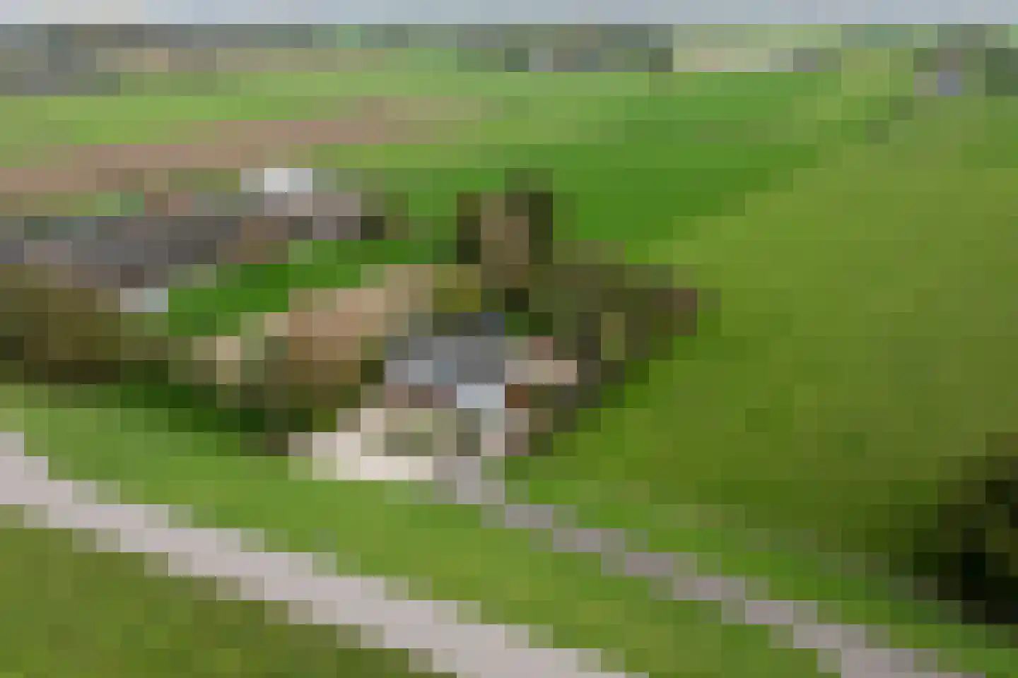 Rijnbandijk 171 Maurik thumbnail 88