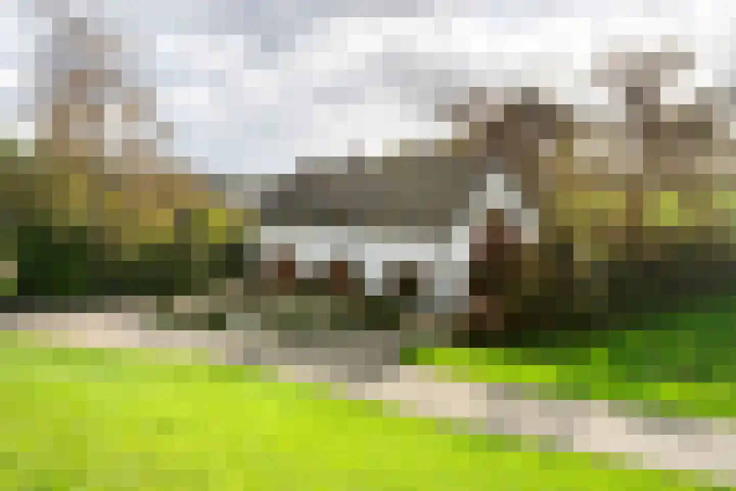Rijnbandijk 171 Maurik thumbnail 9
