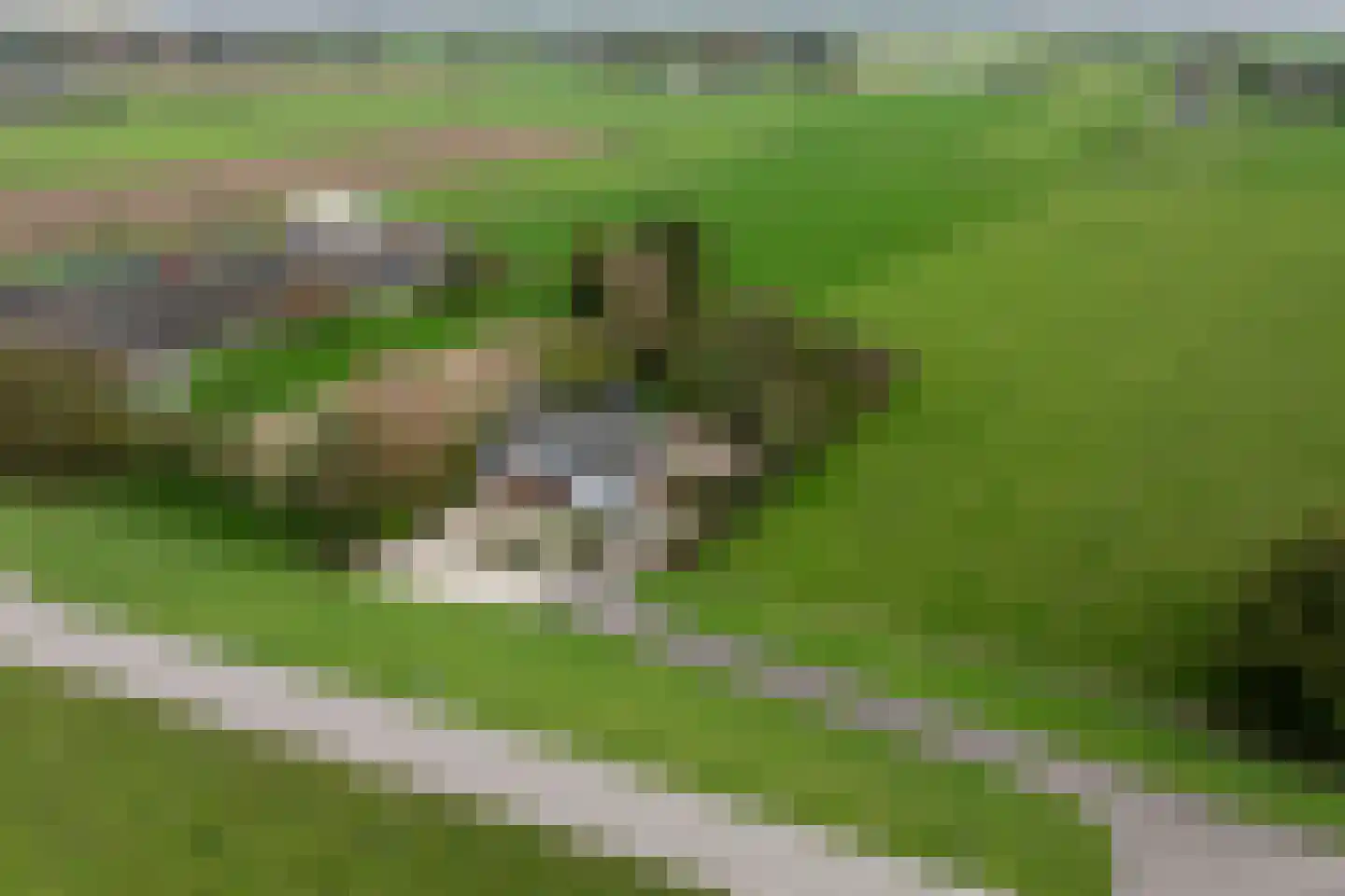 Rijnbandijk 171 Maurik thumbnail 92