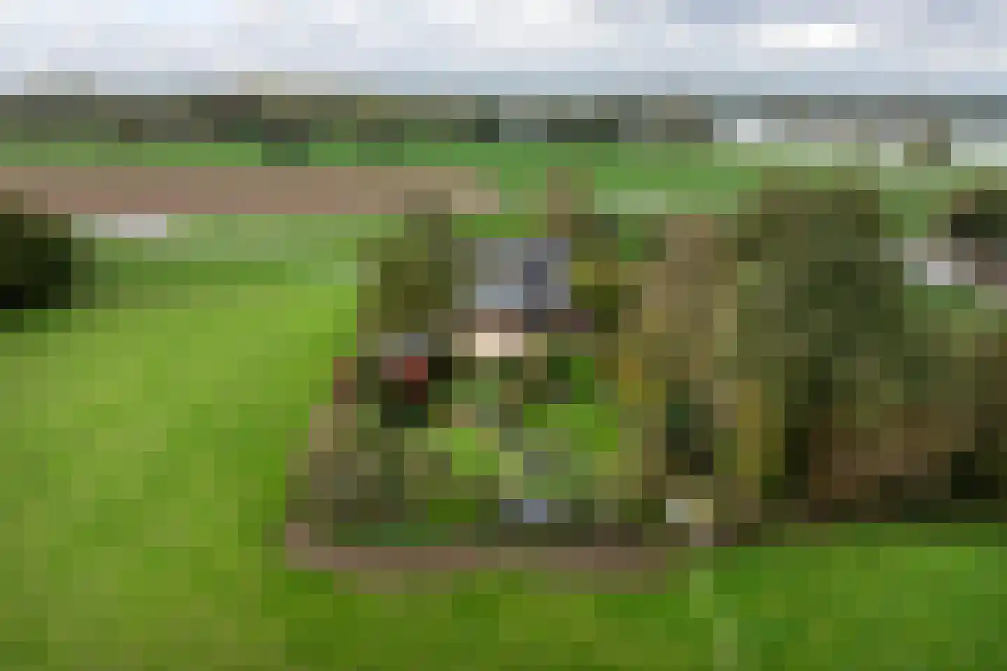 Rijnbandijk 171 Maurik thumbnail 93