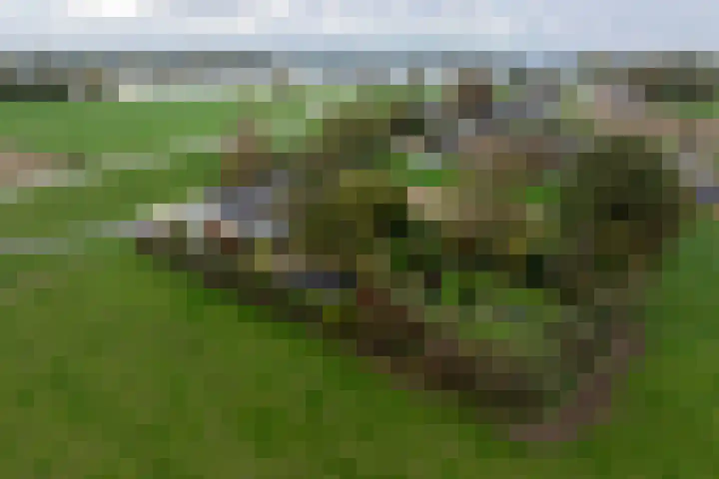 Rijnbandijk 171 Maurik thumbnail 96