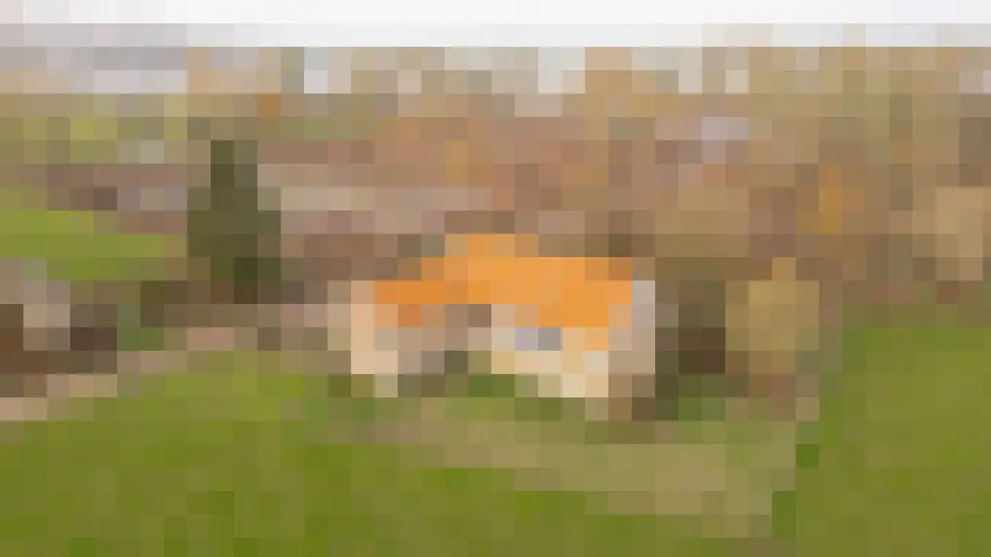 Rijnbandijk 24 a Maurik foto 2