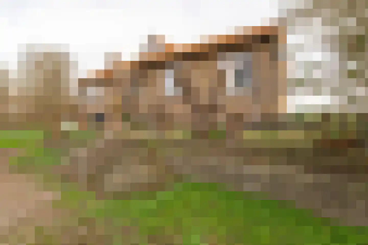 Rijnbandijk 24 a Maurik thumbnail 4
