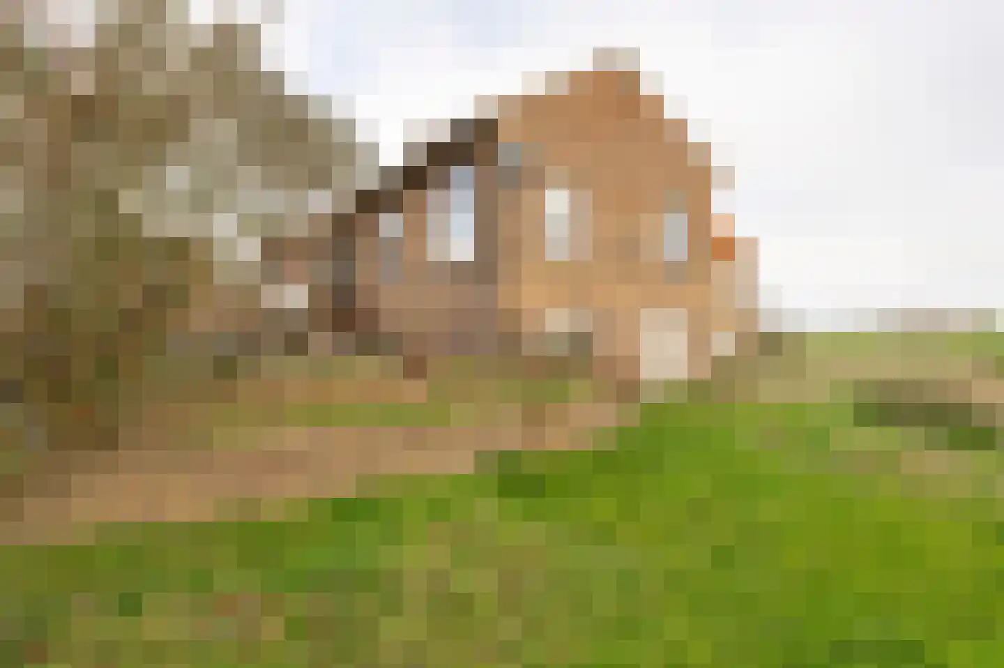 Rijnbandijk 24 a Maurik thumbnail 6