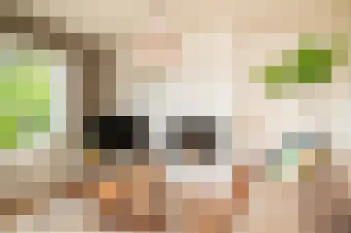 Rijnbandijk 26 Opheusden thumbnail 10