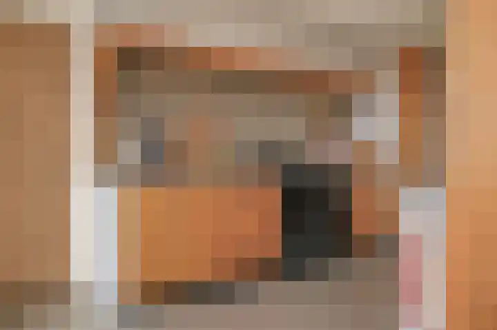 Rijnbandijk 26 Opheusden thumbnail 15