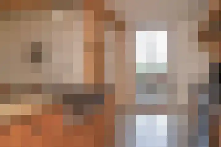 Rijnbandijk 26 Opheusden thumbnail 16