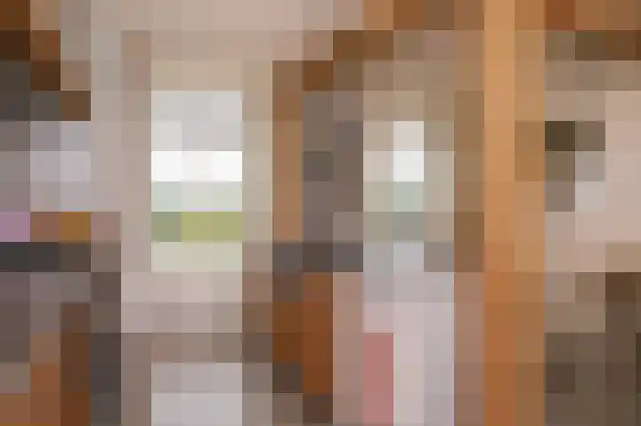 Rijnbandijk 26 Opheusden thumbnail 17