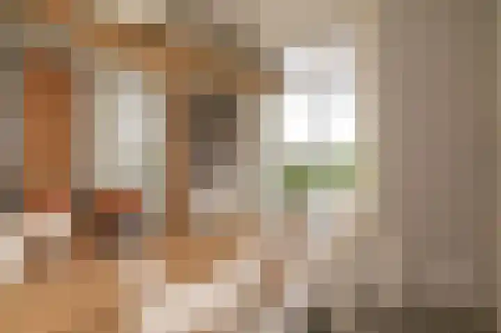 Rijnbandijk 26 Opheusden thumbnail 18