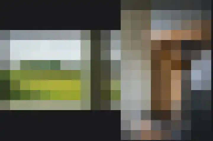 Rijnbandijk 26 Opheusden thumbnail 19