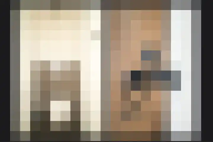 Rijnbandijk 26 Opheusden thumbnail 22