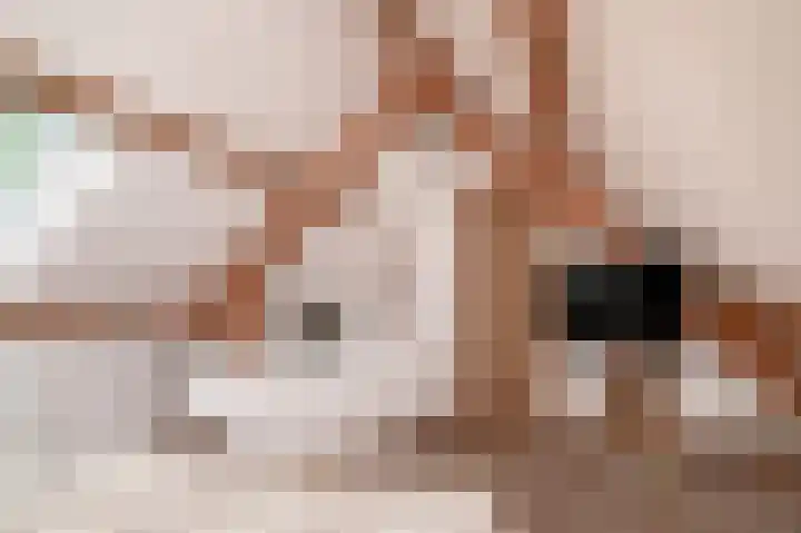 Rijnbandijk 26 Opheusden thumbnail 24