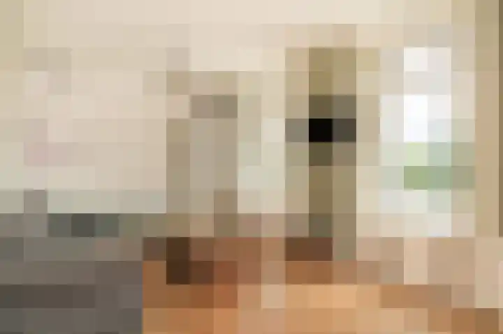 Rijnbandijk 26 Opheusden thumbnail 27
