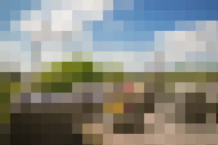 Rijnbandijk 26 Opheusden thumbnail 35